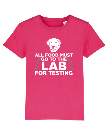 LAB TESTING Raspberry