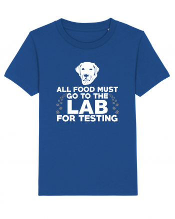 LAB TESTING Majorelle Blue