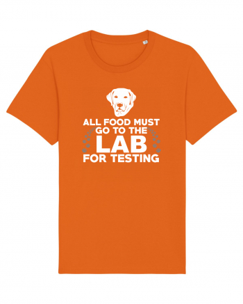 LAB TESTING Bright Orange