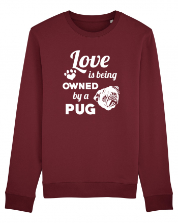 PUG Burgundy