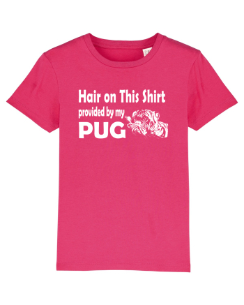 PUG Raspberry