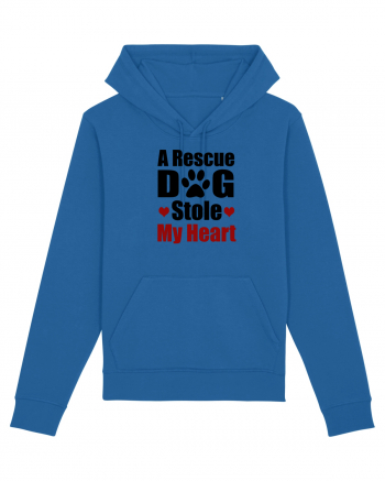 DOG Royal Blue