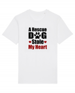 DOG Tricou mânecă scurtă Unisex Rocker