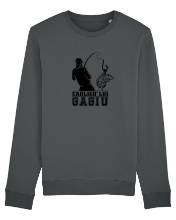 Carligu' lui Gagiu Anthracite