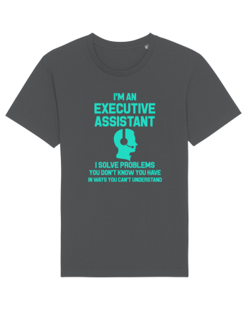 EXECUTIVE ASSISTANT Anthracite