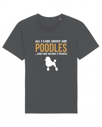 POODLES Anthracite