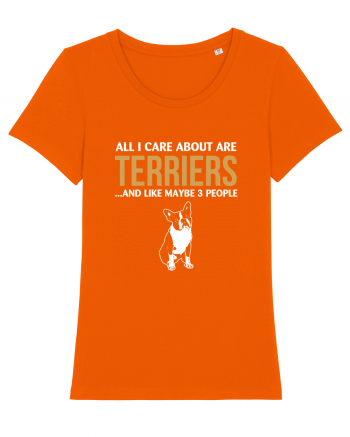 TERRIER Bright Orange