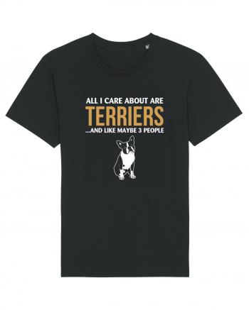 TERRIER Black