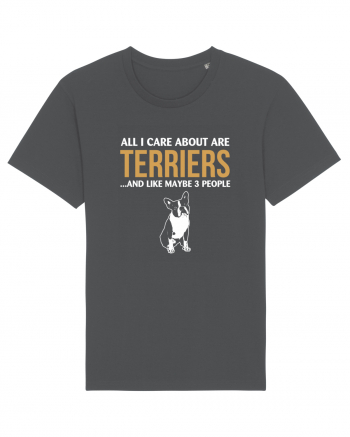 TERRIER Anthracite