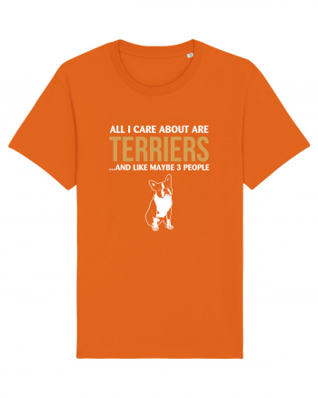 TERRIER Bright Orange