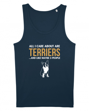 TERRIER Navy