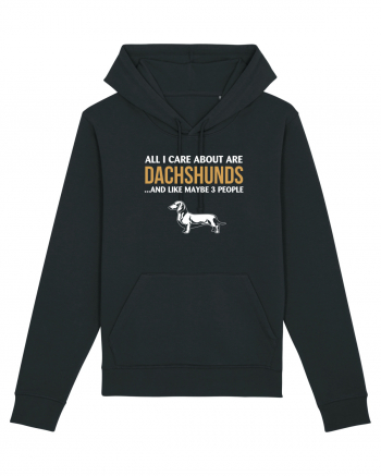 DACHSHUND Black