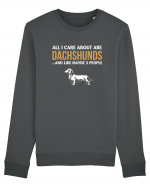 DACHSHUND Bluză mânecă lungă Unisex Rise