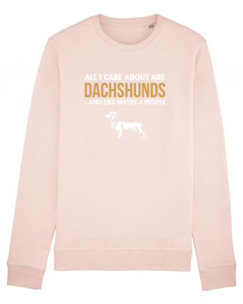 DACHSHUND Candy Pink