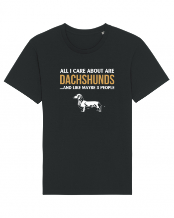 DACHSHUND Black