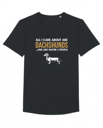 DACHSHUND Black