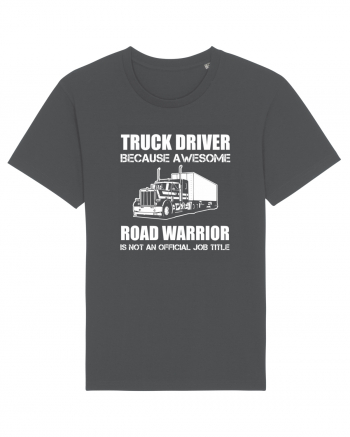 TRUCK DRIVER Anthracite