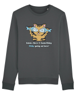 Cute Cat Bluză mânecă lungă Unisex Rise