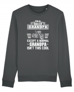 BIKER GRANDPA Bluză mânecă lungă Unisex Rise