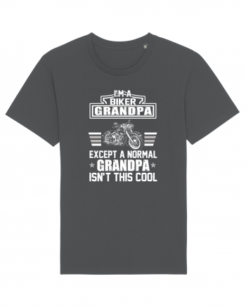 BIKER GRANDPA Anthracite