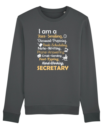 SECRETARY Anthracite