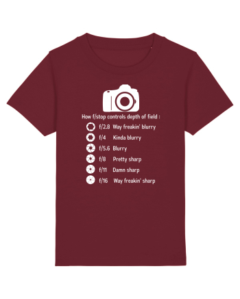 CAMERA Burgundy
