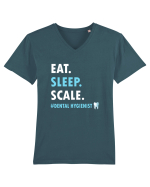 DENTAL HYGIENIST Tricou mânecă scurtă guler V Bărbat Presenter