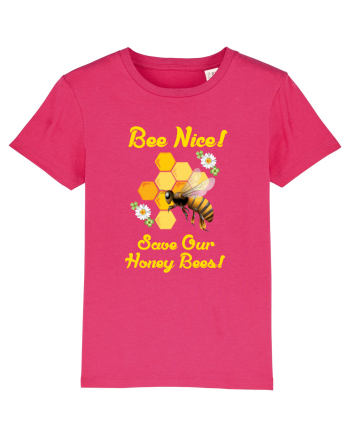 BEES Raspberry