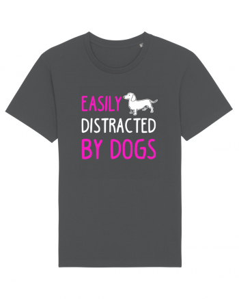 DOGS Anthracite