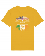 AMERICAN IRISH Tricou mânecă scurtă Unisex Rocker