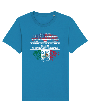 AMERICAN MEXICAN Azur