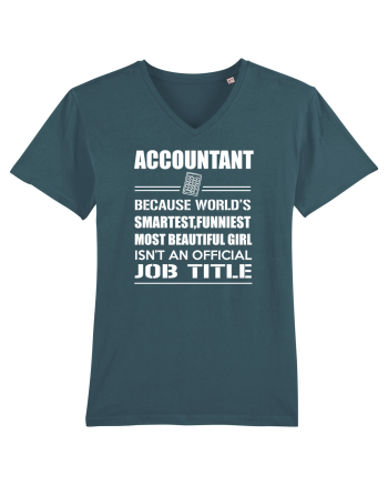 ACCOUNTANT Stargazer