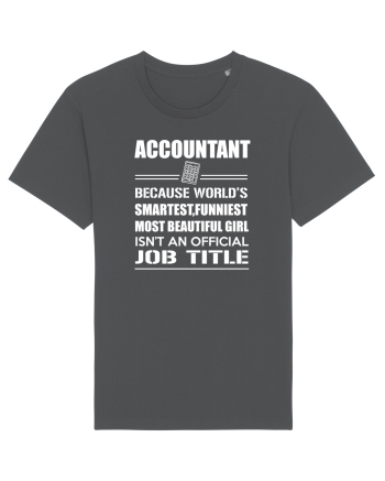 ACCOUNTANT Anthracite