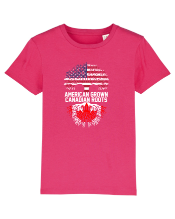 AMERICAN Raspberry