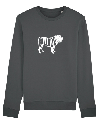 BULLDOG Anthracite