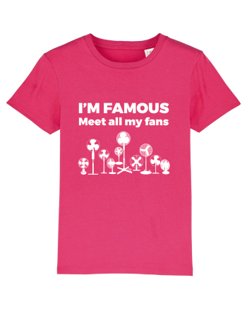 FANS Raspberry