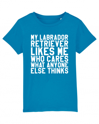 LABRADOR Azur