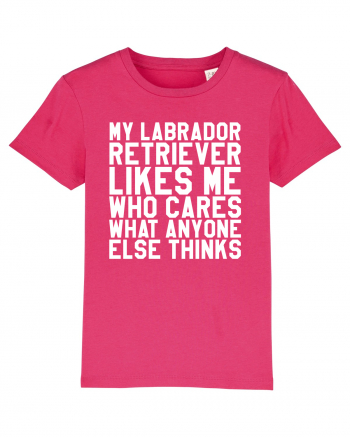 LABRADOR Raspberry