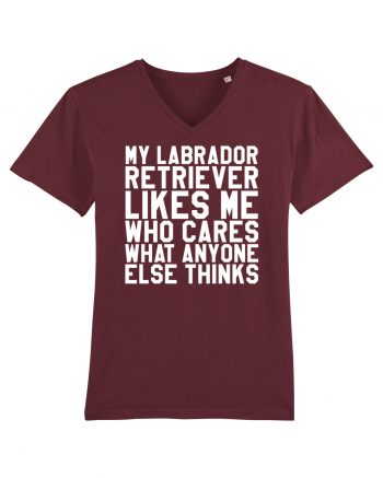 LABRADOR Burgundy