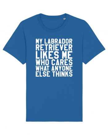 LABRADOR Royal Blue