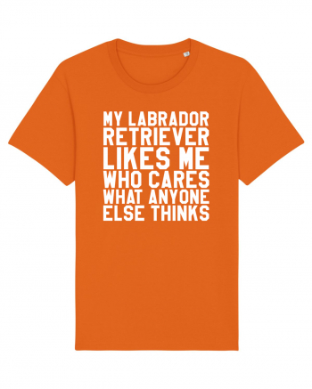 LABRADOR Bright Orange