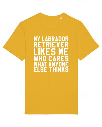 LABRADOR Spectra Yellow