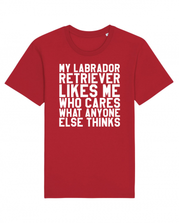 LABRADOR Red