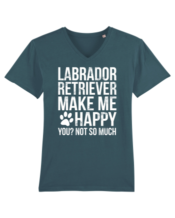 LABRADOR Stargazer
