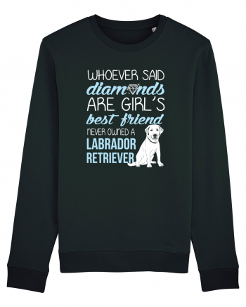 LABRADOR Black