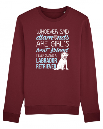 LABRADOR Burgundy