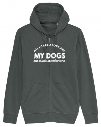 DOGS Anthracite