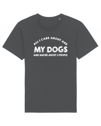 DOGS Anthracite