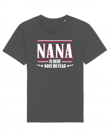 NANA Anthracite