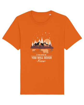If You Never Go Bright Orange